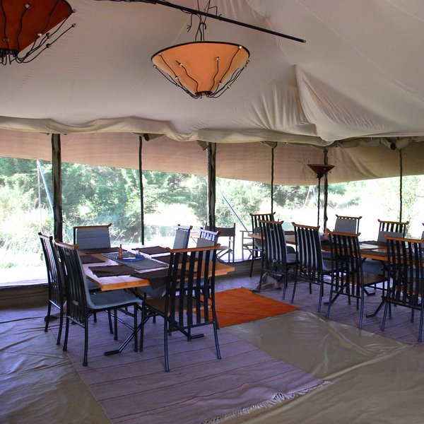 Porini Lion Camp