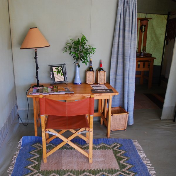 Porini Lion Camp