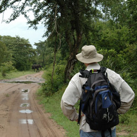 Plus walking safaris - though don't get too friendly with the local wildlife.