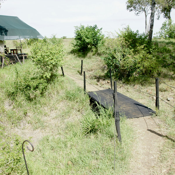 Offbeat Mara