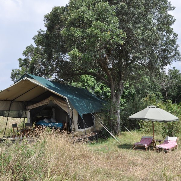 Offbeat Mara