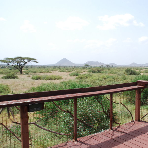 The wooden deck at Larsen's has great views across the park and is a perfect spot for sundowners.