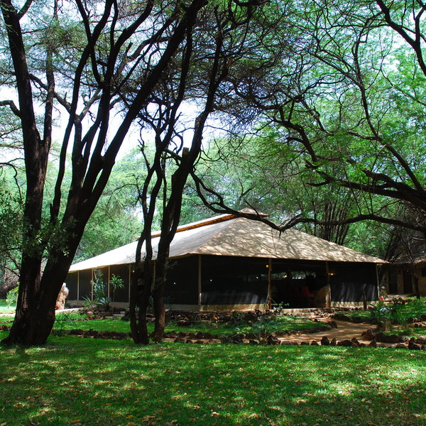 As is the shade provided by the trees all around the camp.