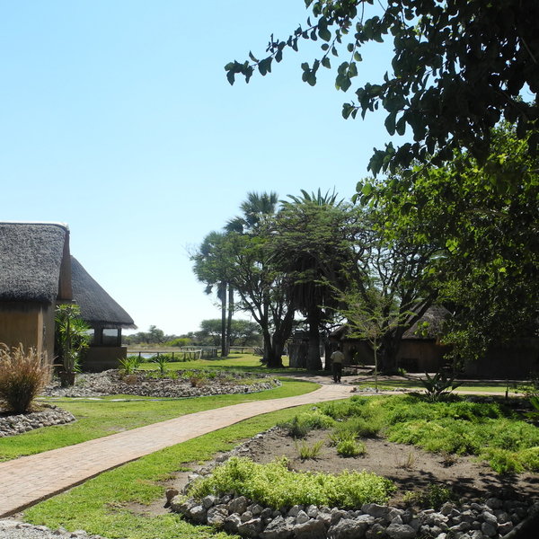 Onguma Bush Camp
