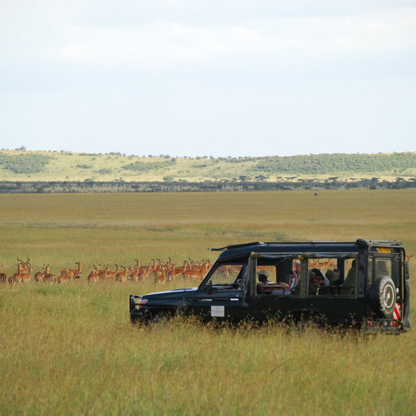 ... before a hopefully successful game drive.