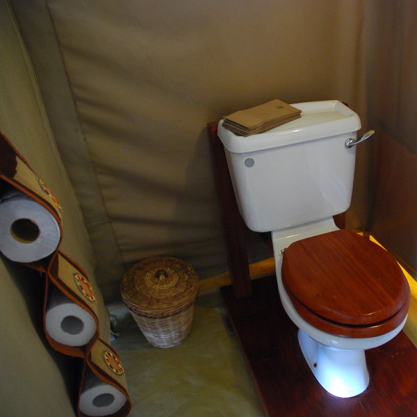 ...with a flush toilet...