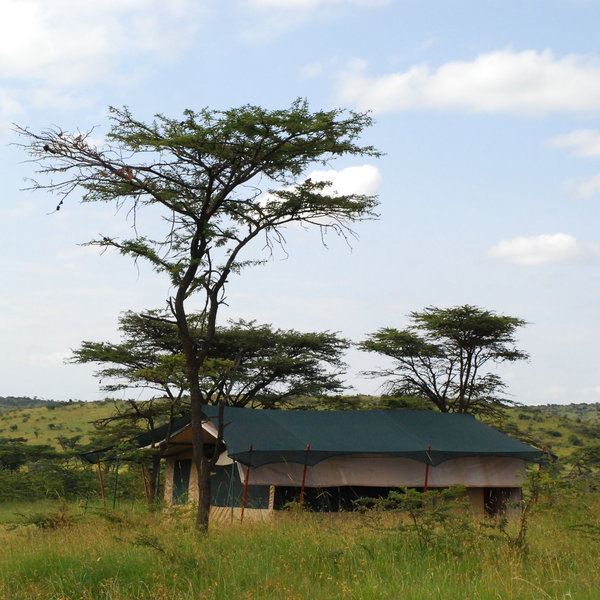 The six tented rooms are all spread wide apart through the bush.