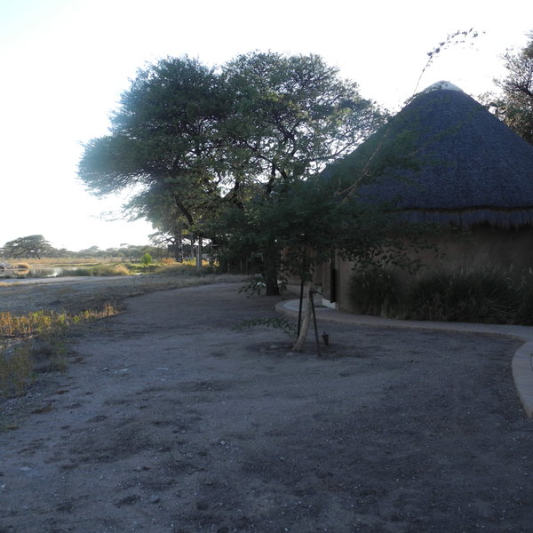 Onguma Bush Camp