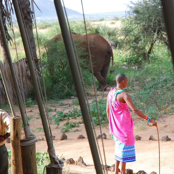 Elephant Bedroom