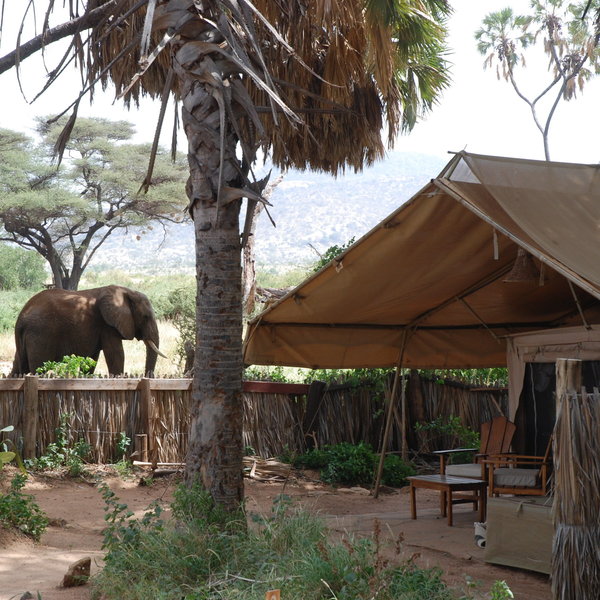Elephant Bedroom