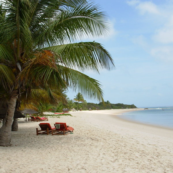 … or get tanned on the beach.