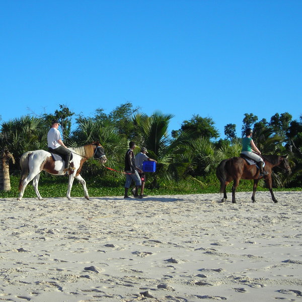 You can also go horseback riding.