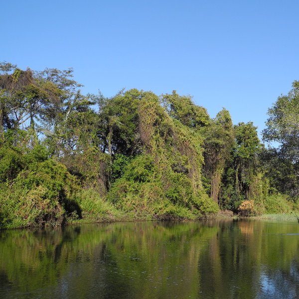 Islands of Siankaba