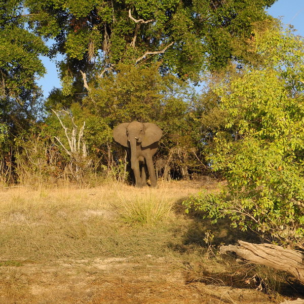 Waterberry Zambezi Lodge