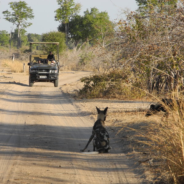 Mchenja Bushcamp