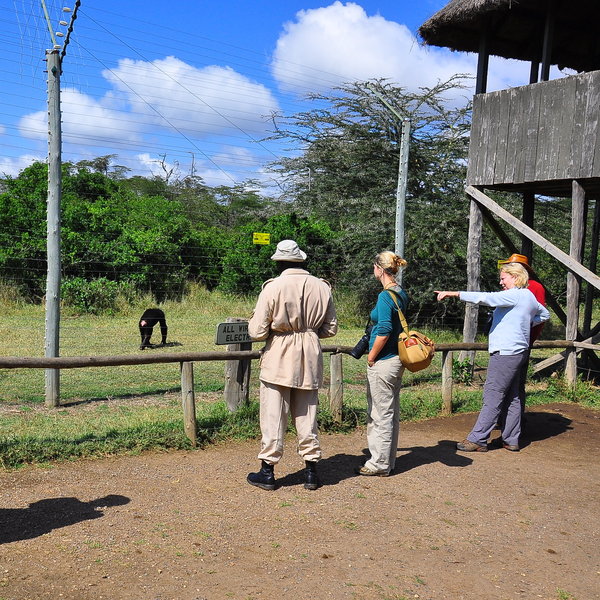 Ol Pejeta Bush Camp