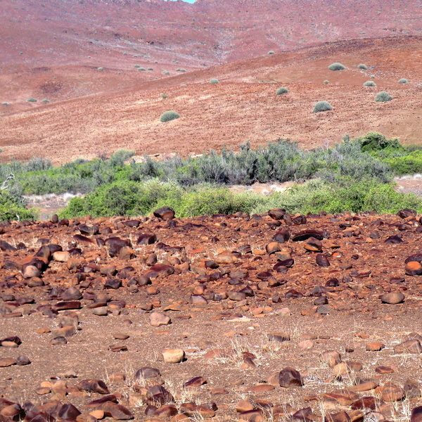 ...with unusual but stunning landscapes...