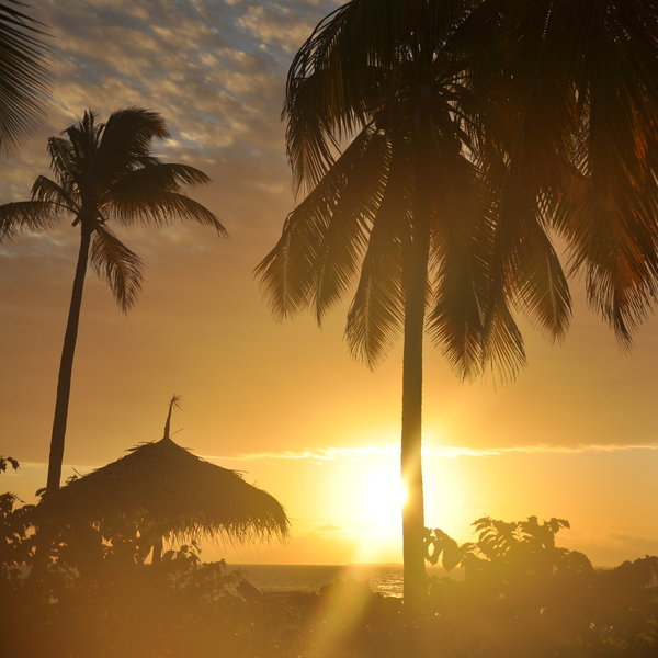 Fanjove Island Lodge