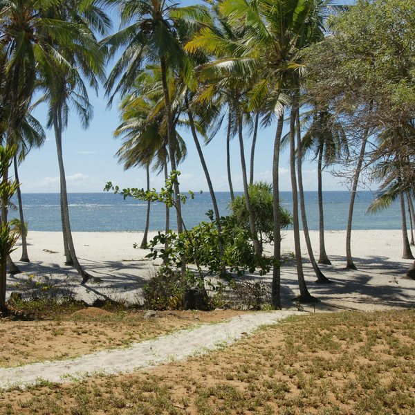 House on the Beach
