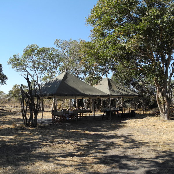 Savute Under Canvas