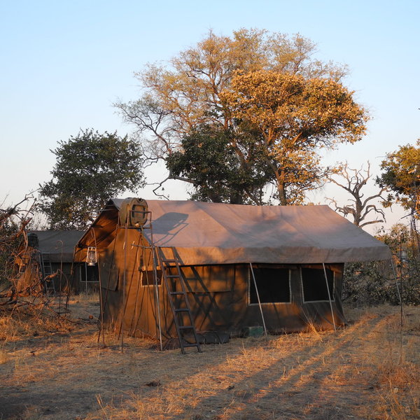 Savute Under Canvas
