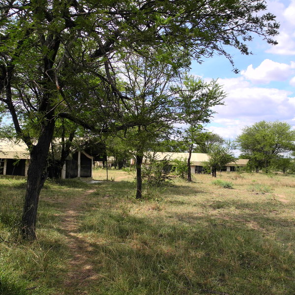 Ubuntu Camp
