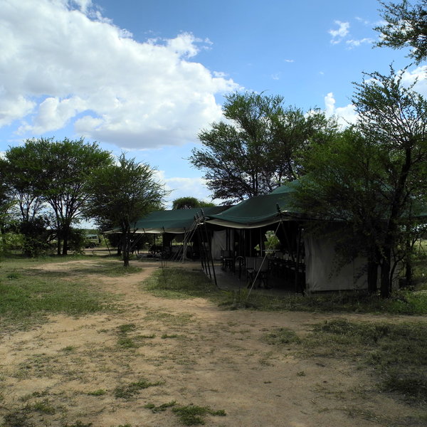 Ubuntu Camp