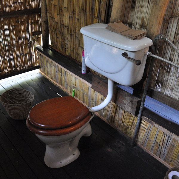 ...with flushing toilets...