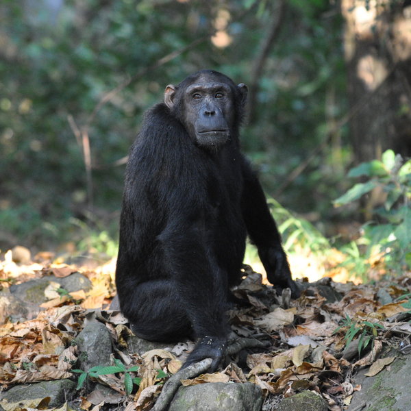 ...with incredible wildlife.