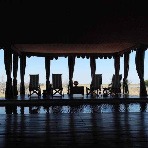 ....surrounded by loungers and overlooking the desert vistas.