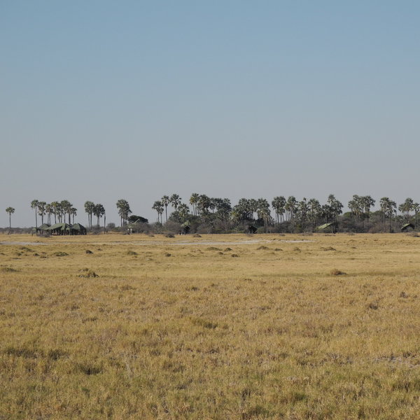 Jack's Camp is built on the edge of an island overlooking the Makgadikgadi Pans.