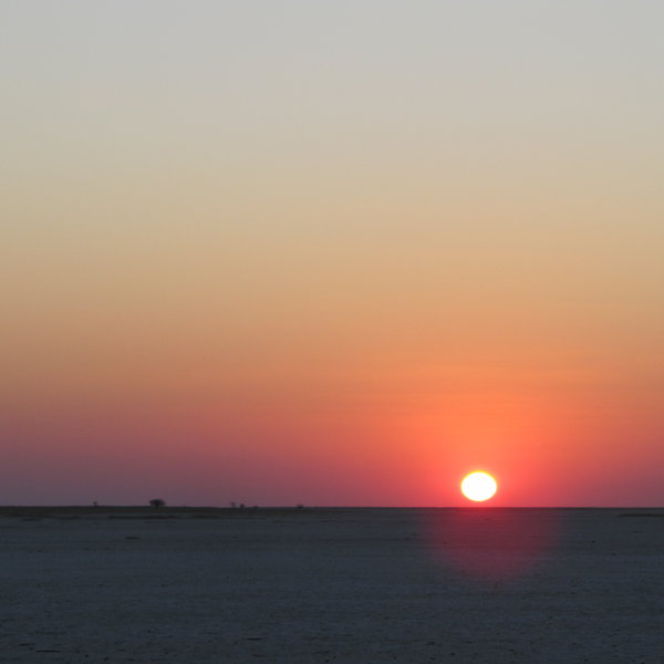 ...as well as its beauty.