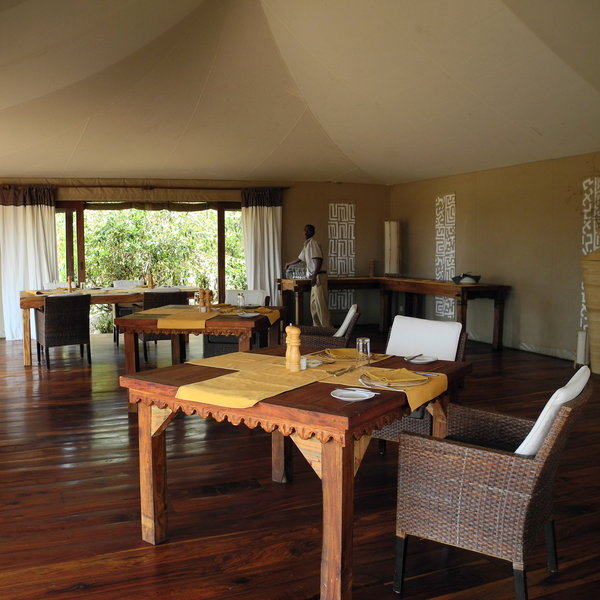 Sayari Camp