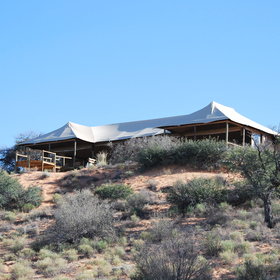 Ta Shebube Polentswa stands in Botswana's section of the Kgalagadi Transfrontier Park.