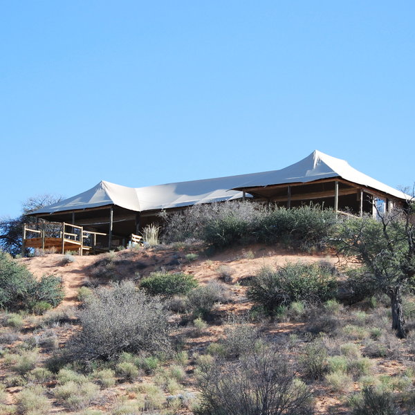 Ta Shebube Polentswa stands in Botswana's section of the Kgalagadi Transfrontier Park.