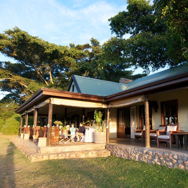 Camp Fig Tree