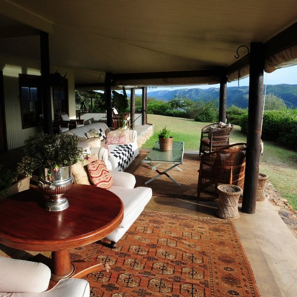 Camp Fig Tree