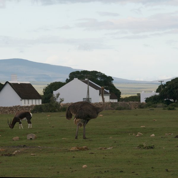 …who wish to explore the wildlife…
