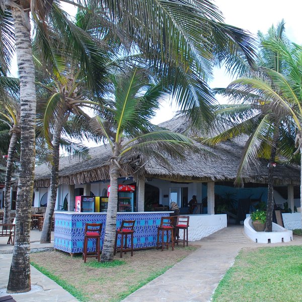 …or under palm trees outside.