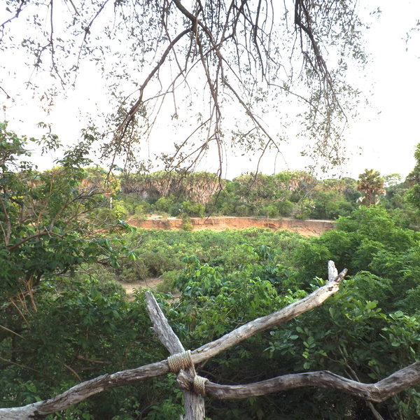 Beho Beho Tree-house