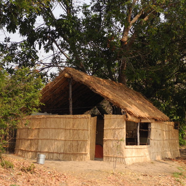 Mwaleshi Camp