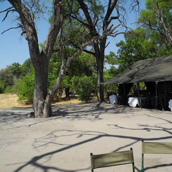 Machaba Camp