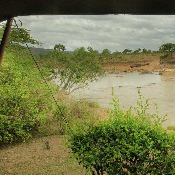 Ngare Serian