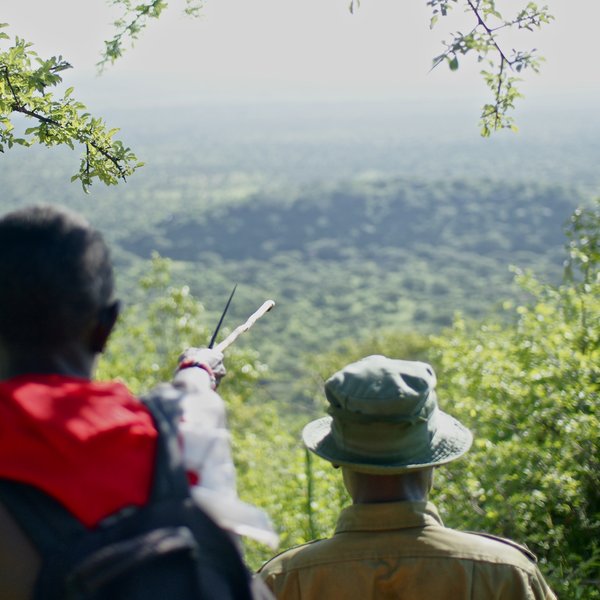 Walks up the Mukogodo Escarpment are very enjoyable, and the route has vantage points…