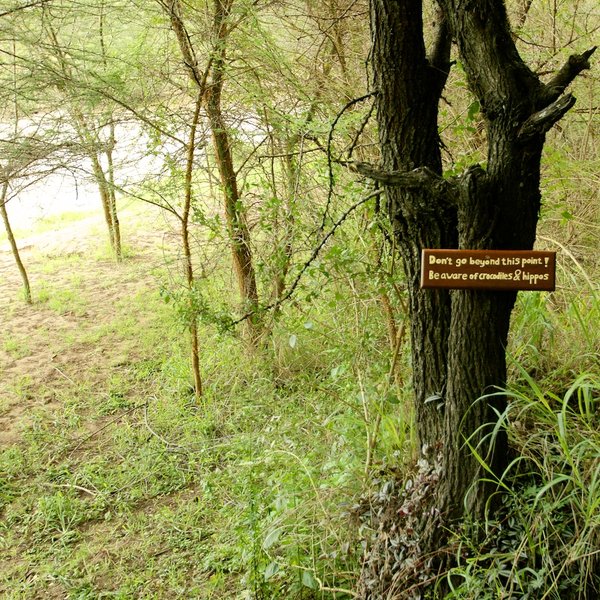 …and is unfenced.