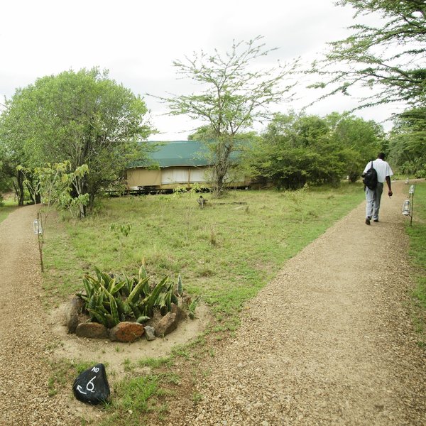 …and walking around camp by day is quite safe.