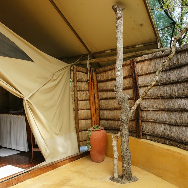 …as are potted plants and the odd tree. Showering will never be the same again!