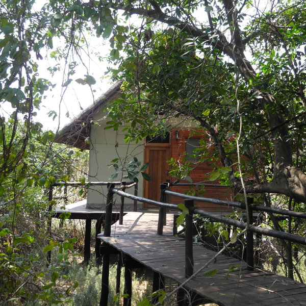 Lion Camp