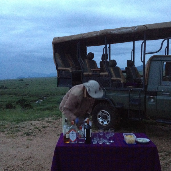 Lewa House
