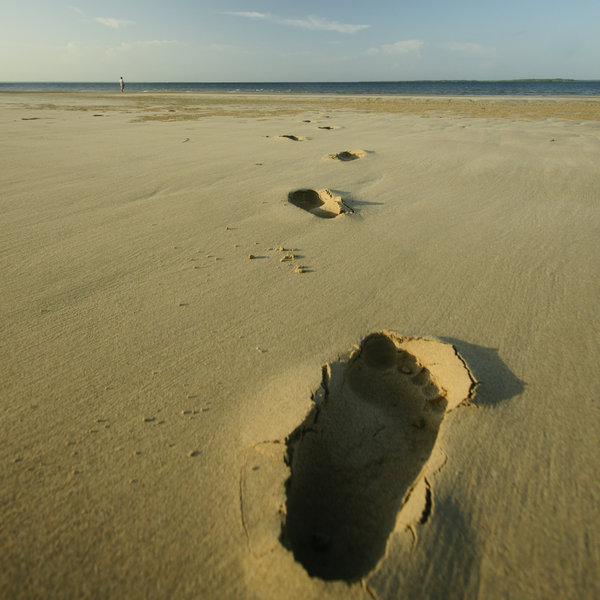 Manda Bay